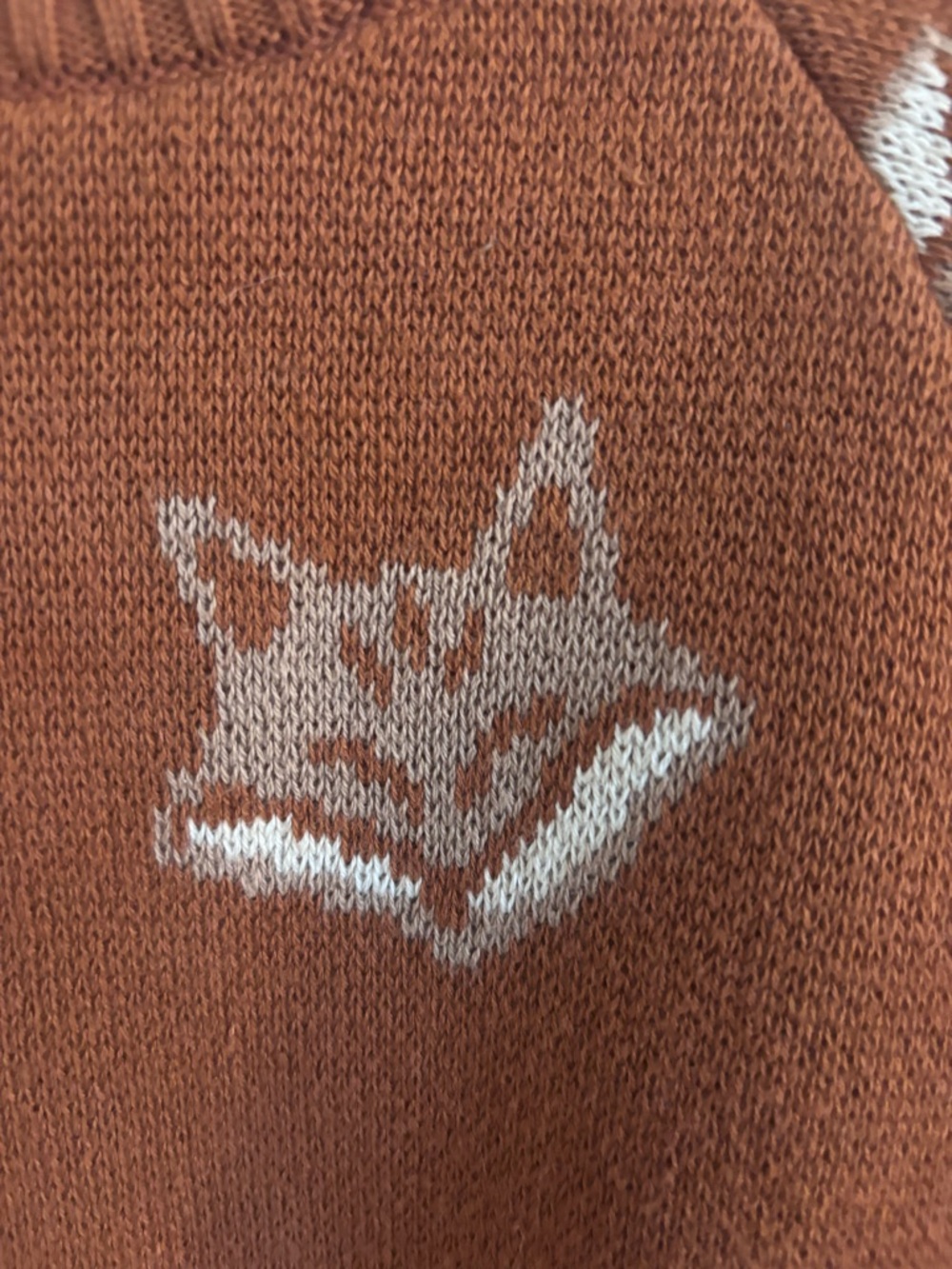 Dear Hayden Infant Fox Sweater - Picture 4 of 7